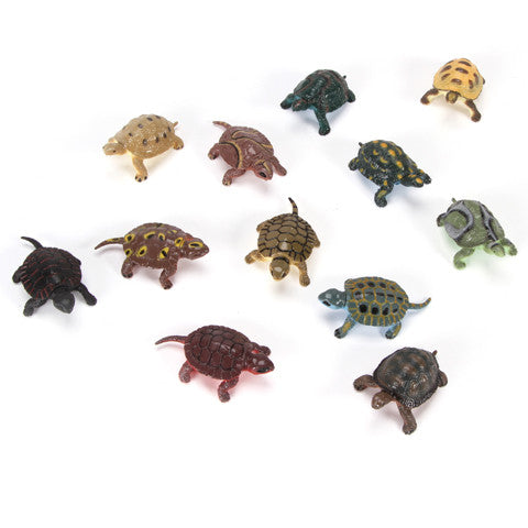 Miniature Turtles