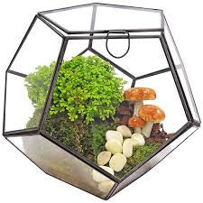 Geo Terrarium
